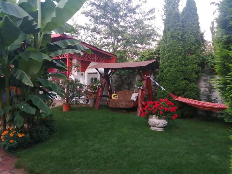 Casa Mona Villa Oradea Luaran gambar
