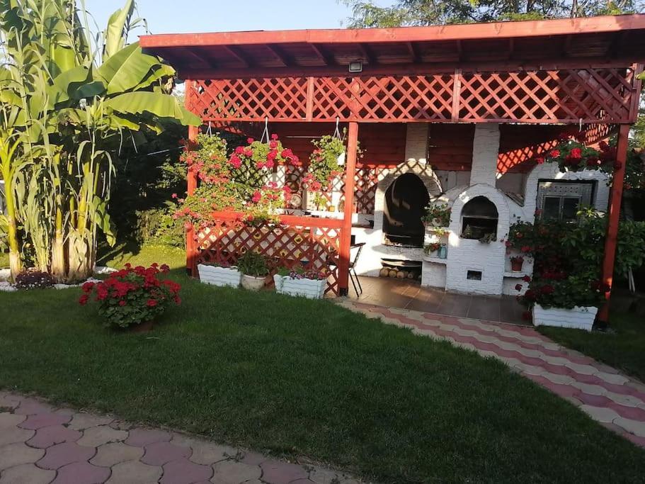 Casa Mona Villa Oradea Luaran gambar